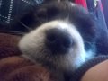 WP_20160425_005.jpg
